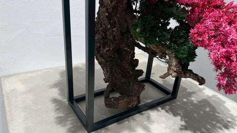 日本干景盆景艺术 - 樱花(L尺寸)