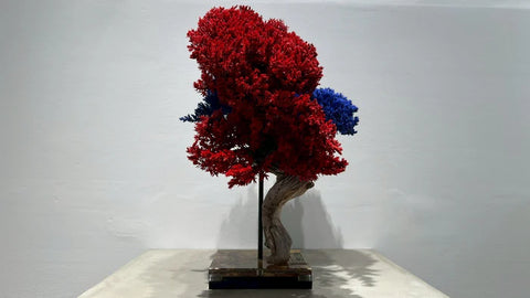 日本干景盆景艺术 - 蓝红(M尺寸)