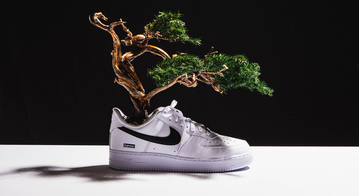 【時見草】Japanese Bonsai Art  – Supreme×Nike Air Force1（白）