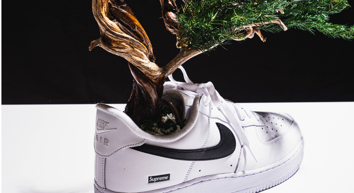 【時見草】Japanese Bonsai Art  – Supreme×Nike Air Force1（白）