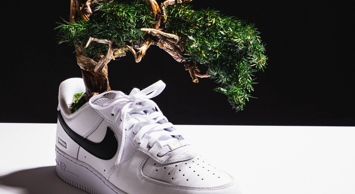 【時見草】Japanese Bonsai Art  – Supreme×Nike Air Force1（白）