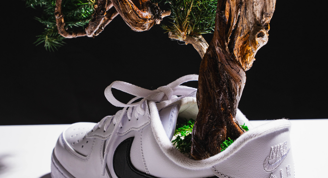 【時見草】Japanese Bonsai Art  – Supreme×Nike Air Force1（白）