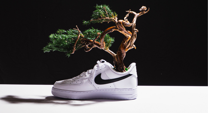 【時見草】Japanese Bonsai Art  – Supreme×Nike Air Force1（白）