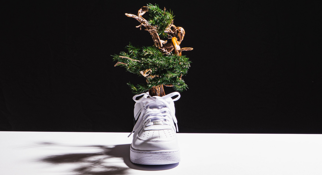 【時見草】Japanese Bonsai Art  – Supreme×Nike Air Force1（白）