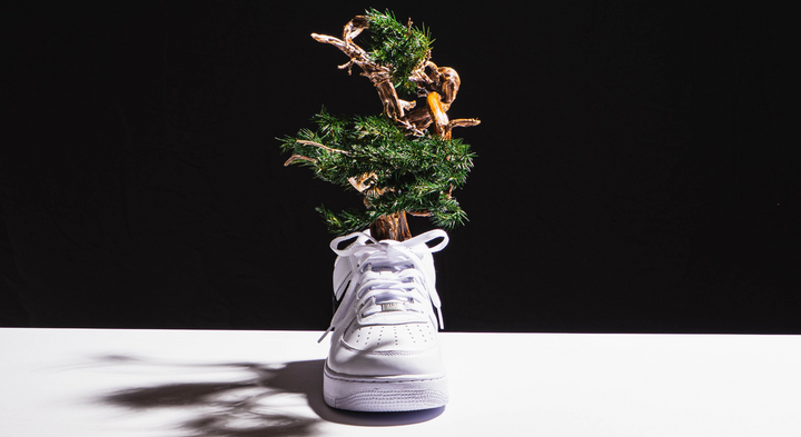 【時見草】Japanese Bonsai Art  – Supreme×Nike Air Force1（白）