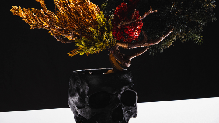 فن البونساي الياباني الجاف من اليابان  – جمجمة حمراء (مقاس M)