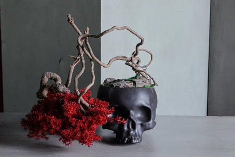 日本干景盆景艺术 - 骷髅红黑款(M尺寸)