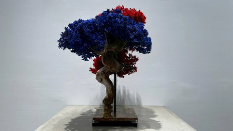 日本干景盆景艺术 - 蓝红（M尺寸）