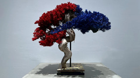 日本干景盆景艺术 - 蓝红（M尺寸）