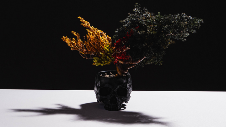 فن البونساي الياباني الجاف من اليابان  – جمجمة حمراء (مقاس M)