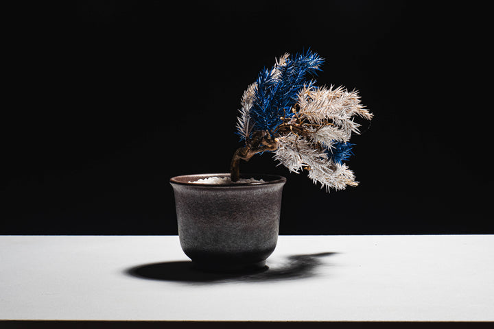 Japanese Dry Bonsai Art From Japan  – Blue White (S Size)