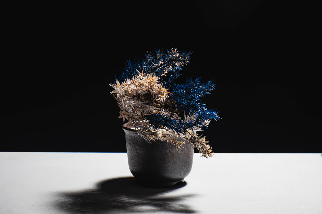 Japanese Dry Bonsai Art From Japan  – Blue White (S Size)