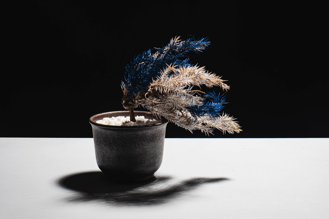 Japanese Dry Bonsai Art From Japan  – Blue White (S Size)