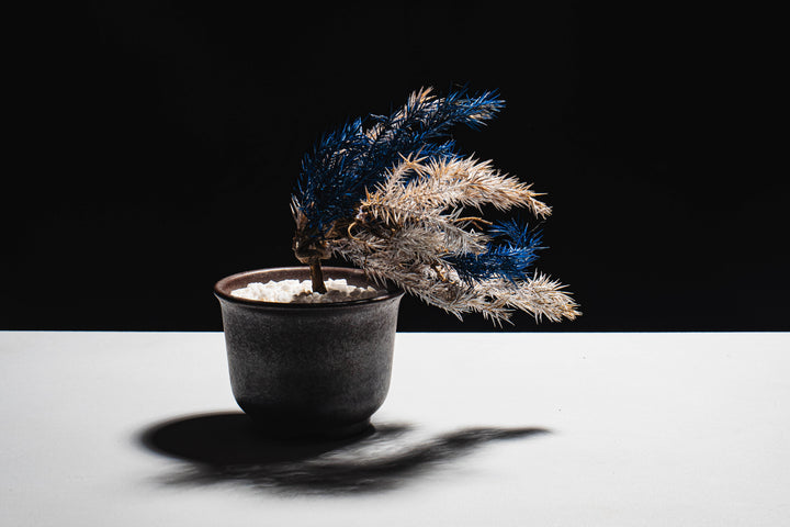 Japanese Dry Bonsai Art From Japan  – Blue White (S Size)