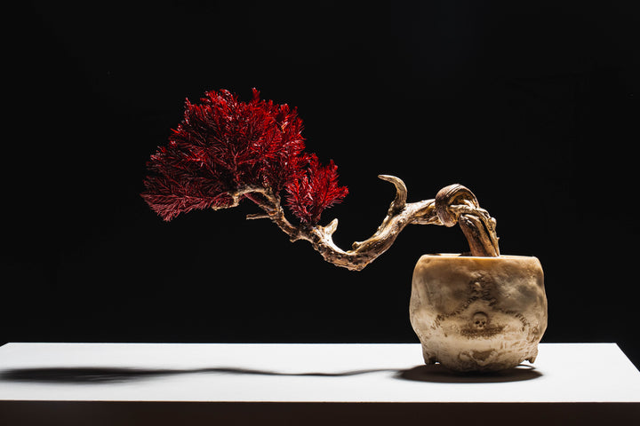 Japanese Dry Bonsai Art From Japan  – Skull Red (M Size)