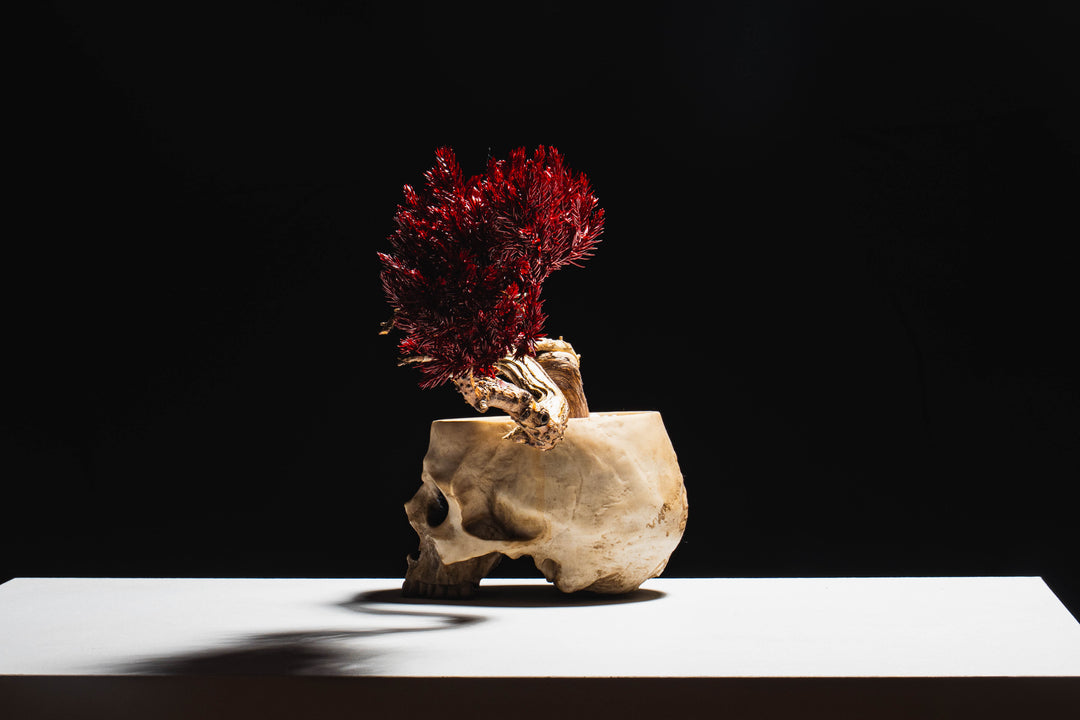 Japanese Dry Bonsai Art From Japan  – Skull Red (M Size)