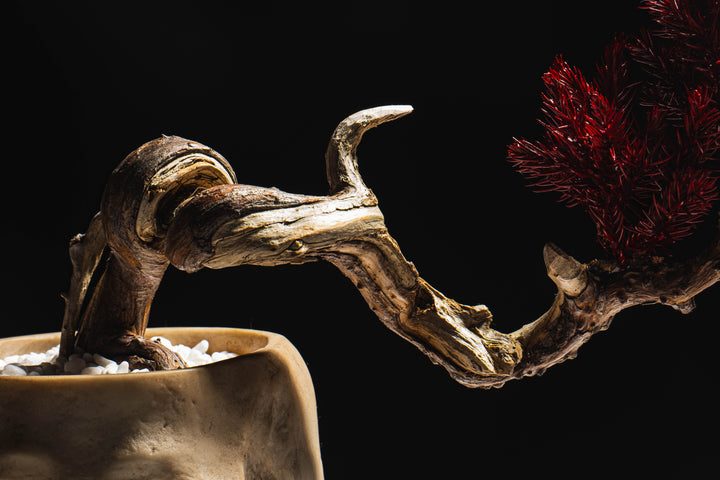 Japanese Dry Bonsai Art From Japan  – Skull Red (M Size)