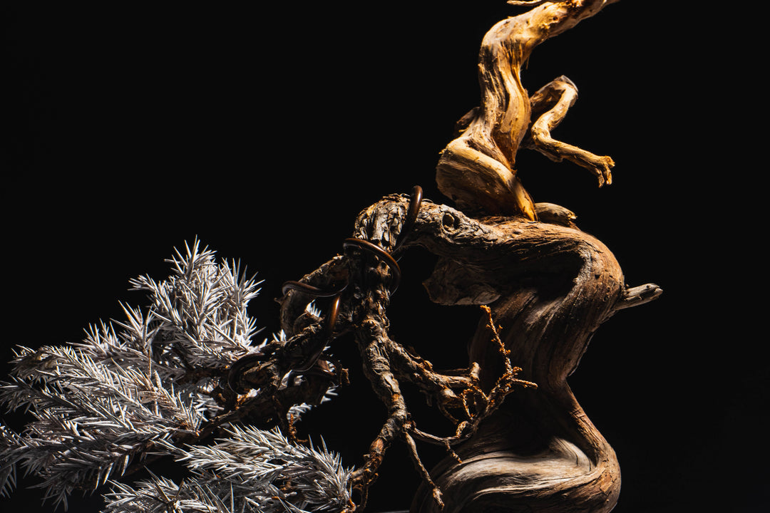 Japanese Dry Bonsai Art From Japan  – White (L Size)