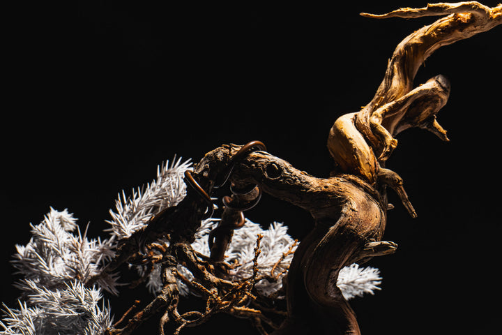 Japanese Dry Bonsai Art From Japan  – White (L Size)