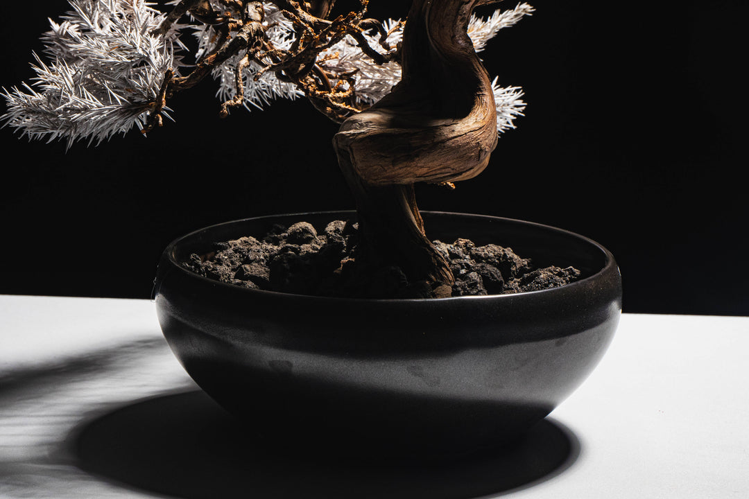 Japanese Dry Bonsai Art From Japan  – White (L Size)
