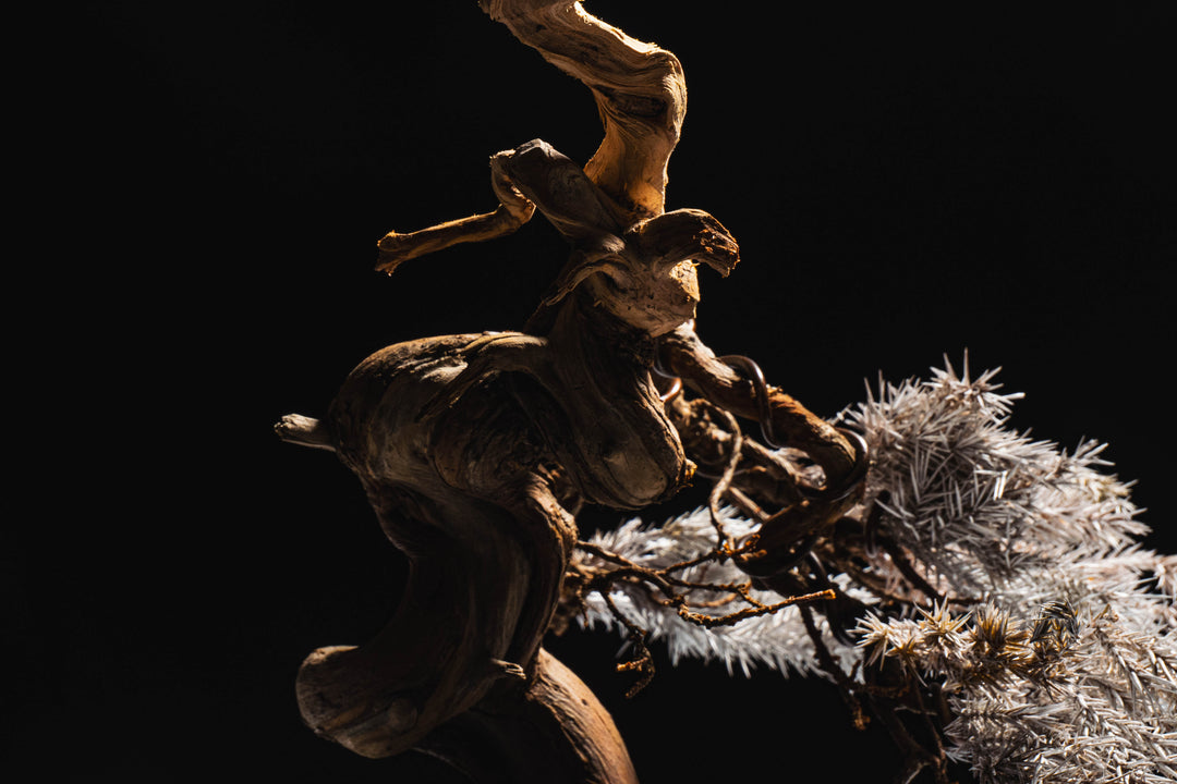 Japanese Dry Bonsai Art From Japan  – White (L Size)